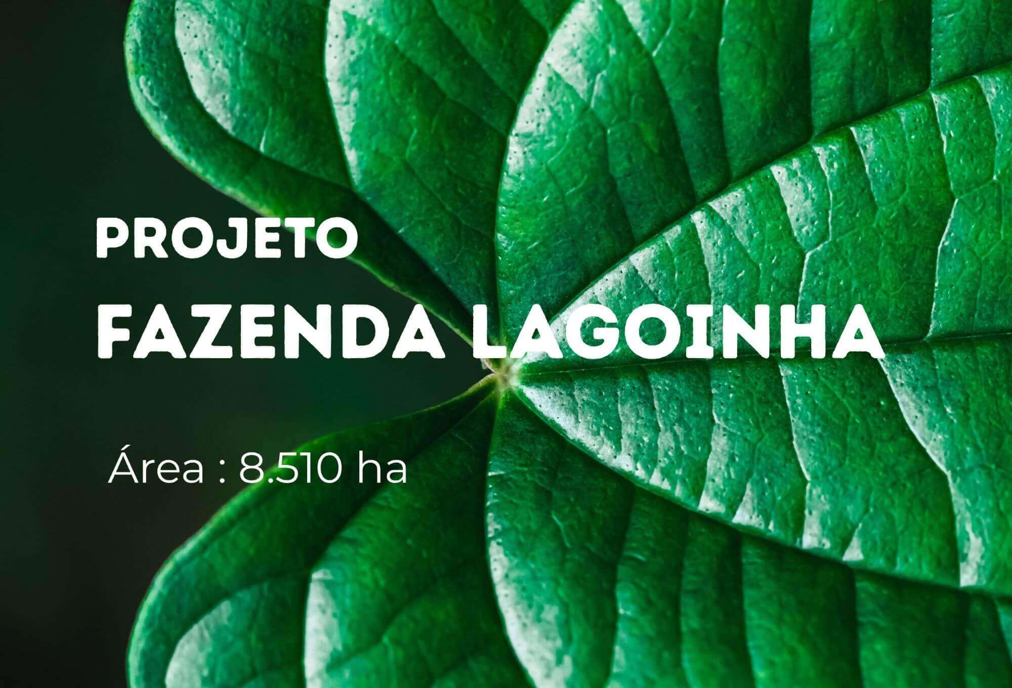 Projeto Fazenda Lagoinha - Argustech