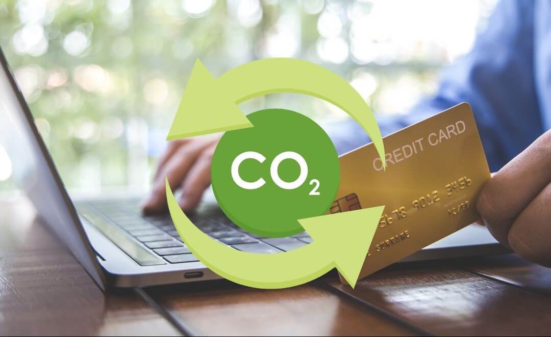 Como as grandes empresas realmente compram créditos de carbono - Argustech